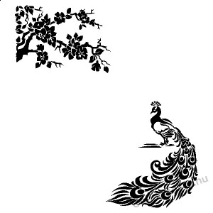 Wall sticker, Wall tattoo, Wall decoration, Wall decal - Flower II. - Peacock (In 2 parts) 2108