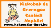 Kiskobak és Gézengúz Családi Napközi