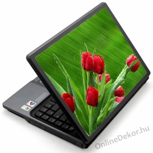 Laptop matrica, Laptop dekoráció - Virág - Tulipán 1300