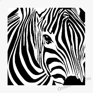 Faldekoráció, Falimatrica, Faltetoválás - Állat - Zebra 666