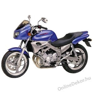 Motormatrica, Motor dekorációk - 01.Motormatricák - Yamaha - FZX 250 Zeal